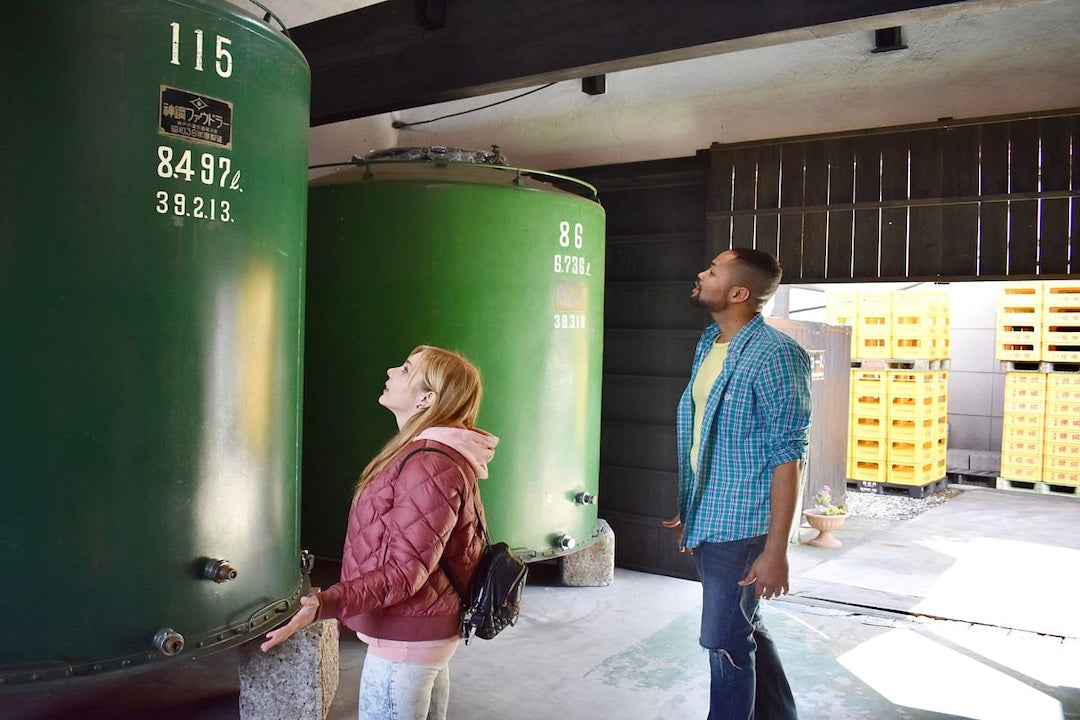 Guided Tour of Tonoike Sake Brewery (with Tasting) & Lunch in Mashiko