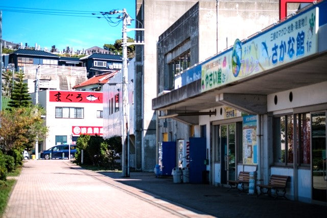 Kawazu Blossoms with Misaki’s Gourmet Tuna