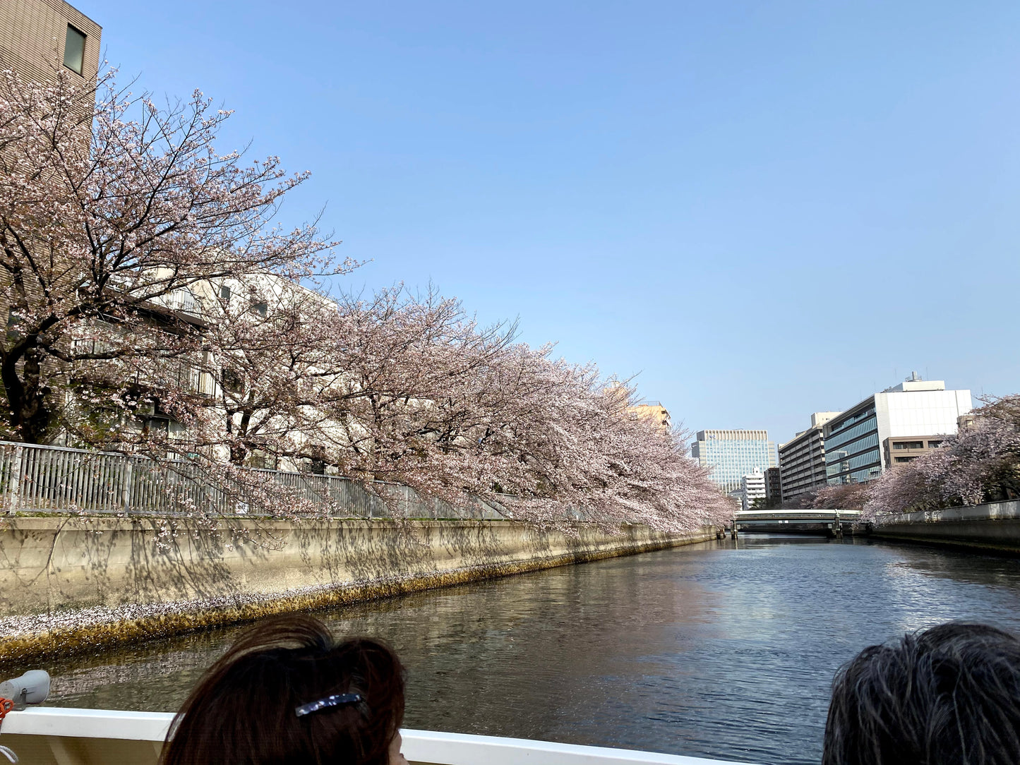 Sakura Cruise & Michelin 2-Star Tempura Kondo (Limited to March 13rd, 21st)