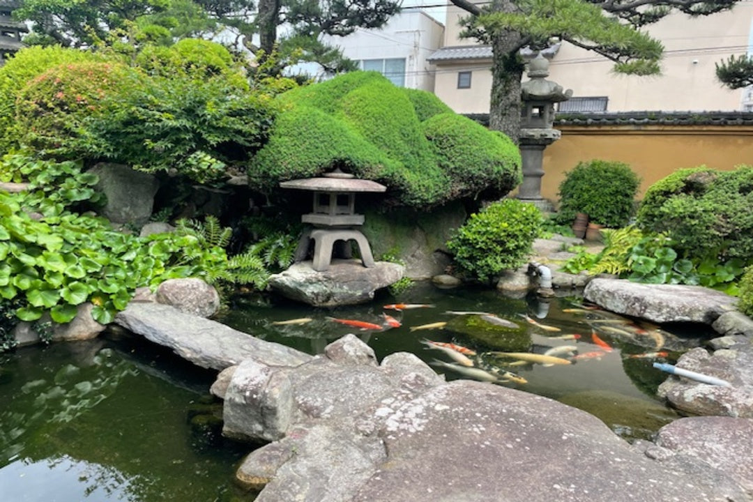 Naniwa Sake Brewery Tour with Tasting & Guided Lunch