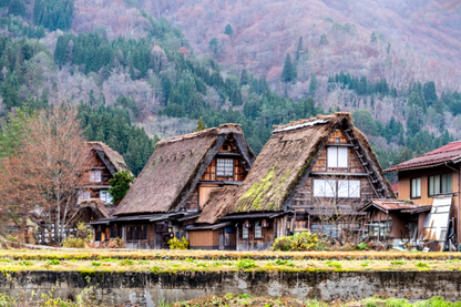 Strolling through the World Heritage Village of Shirakawa-go