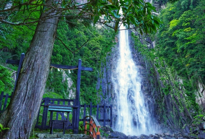 [World Heritage] Kumano Kodo Trekking Tour