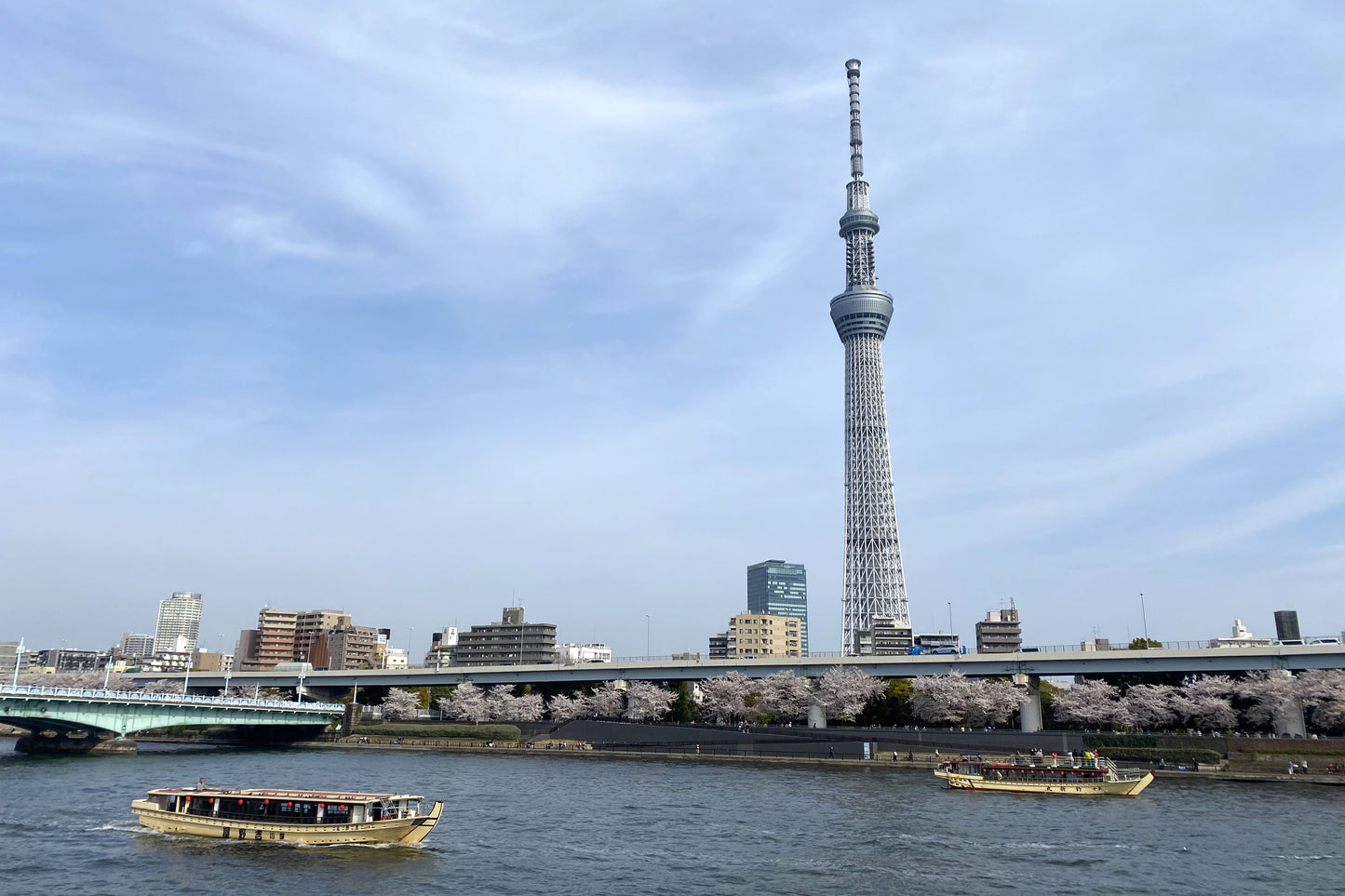 Experience Spring in Asakusa: Sakura Cruise & Top Sightseeing Spots (Limited to March 30th)