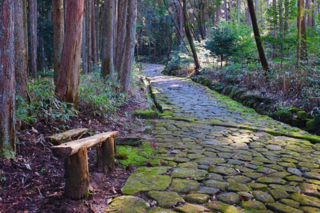 Walk Through 400 Years of History: Samurai Road Trekking Tour