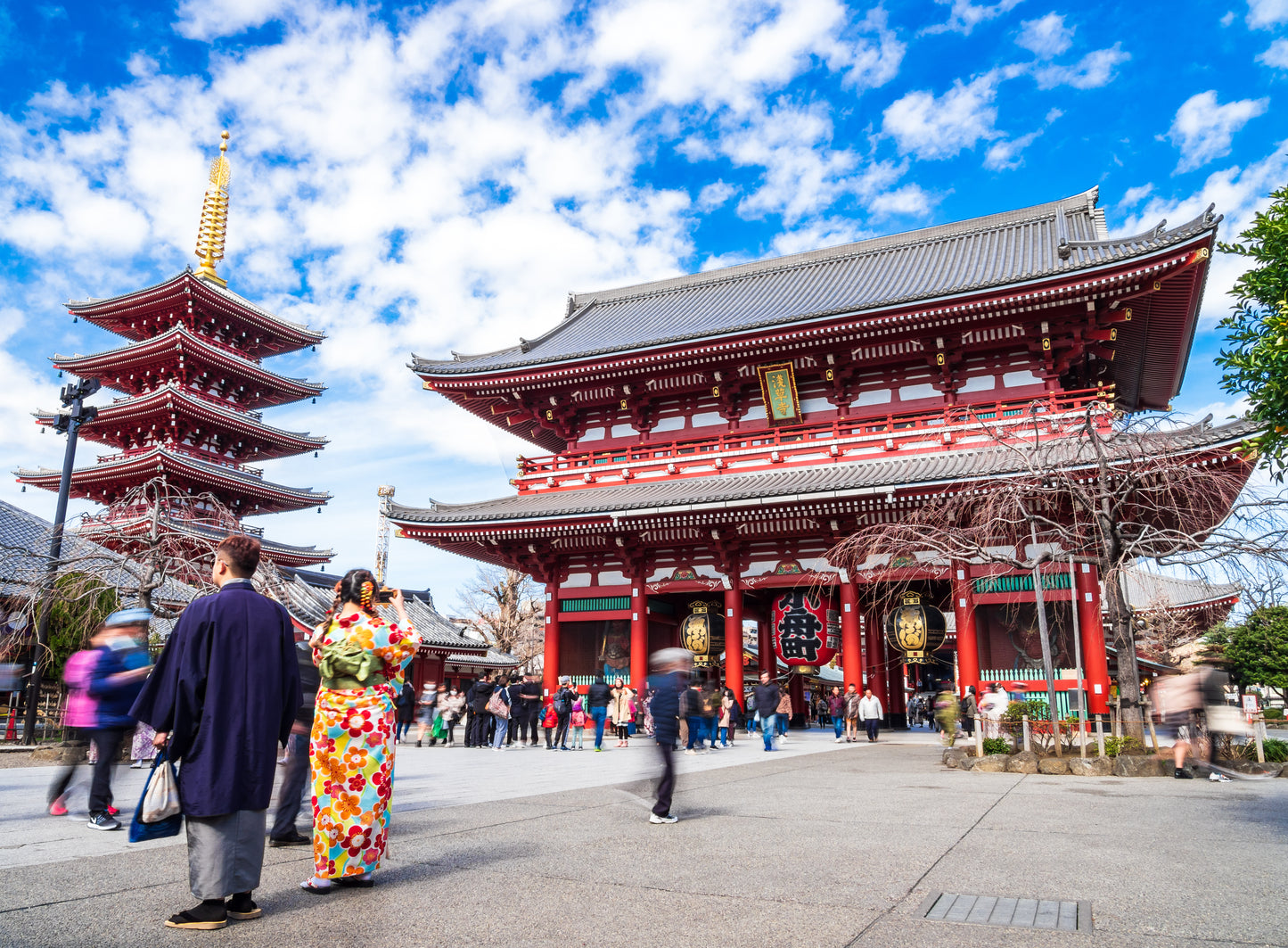 Experience Spring in Asakusa: Sakura Cruise & Top Sightseeing Spots (Limited to March 30th)