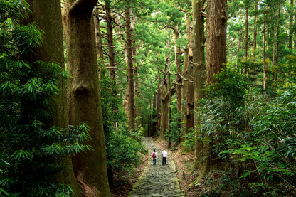 [World Heritage] Kumano Kodo Trekking Tour