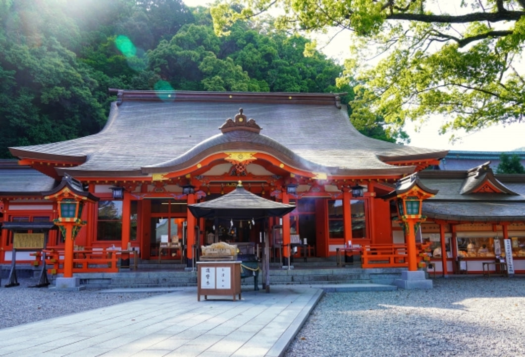 [World Heritage] Kumano Kodo Trekking Tour