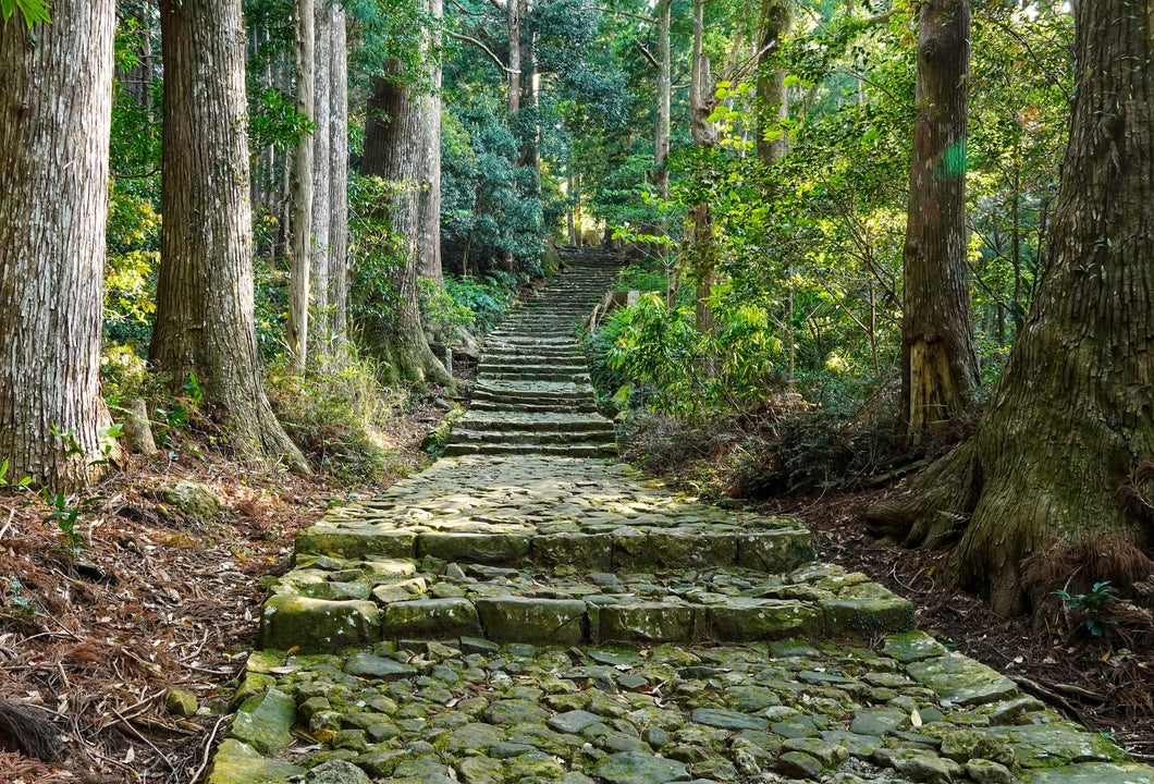 [World Heritage] Kumano Kodo Trekking Tour