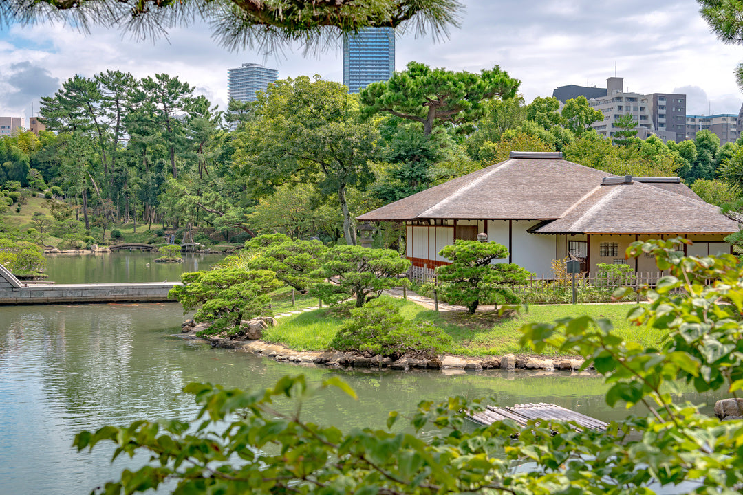 [World Heritage] Half-Day Tour of Hiroshima's Four Major Peace and History Landmarks