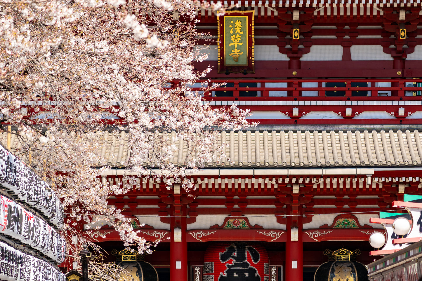 Experience Spring in Asakusa: Sakura Cruise & Top Sightseeing Spots (Limited to March 30th)