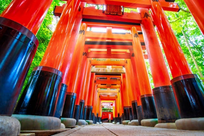 Experience the Heart of Japan: Kyoto's 4 Must-See Highlights