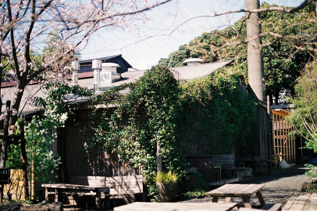 Tour of Kumazawa Sake Brewery (with Tasting) & Japanese Sake Pairing Lunch Experience