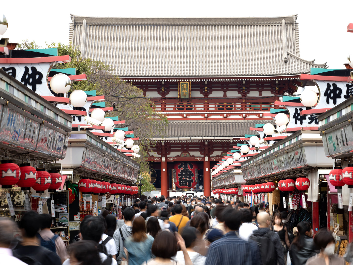 Experience Spring in Asakusa: Sakura Cruise & Top Sightseeing Spots (Limited to March 30th)