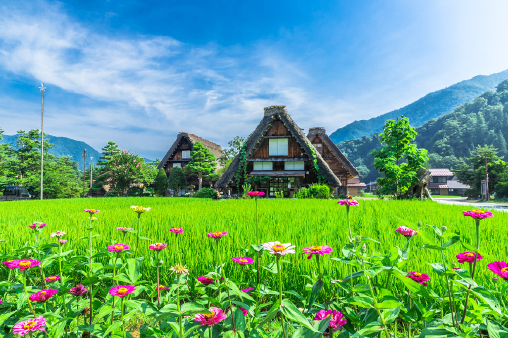 Strolling through the World Heritage Village of Shirakawa-go